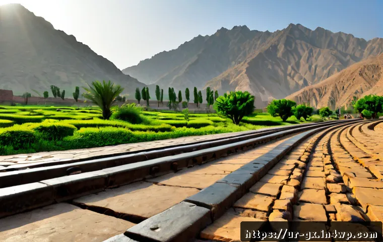 سوشل میڈیا ہماری سوچ کو کیسے موڑتا ہے؟ علمی تعصبات پہچاننے اور بہتر فیصلے کرنے کی رہنمائی 4 인지 편향과 소셜 미디어의 연관성 관련 이미지 2